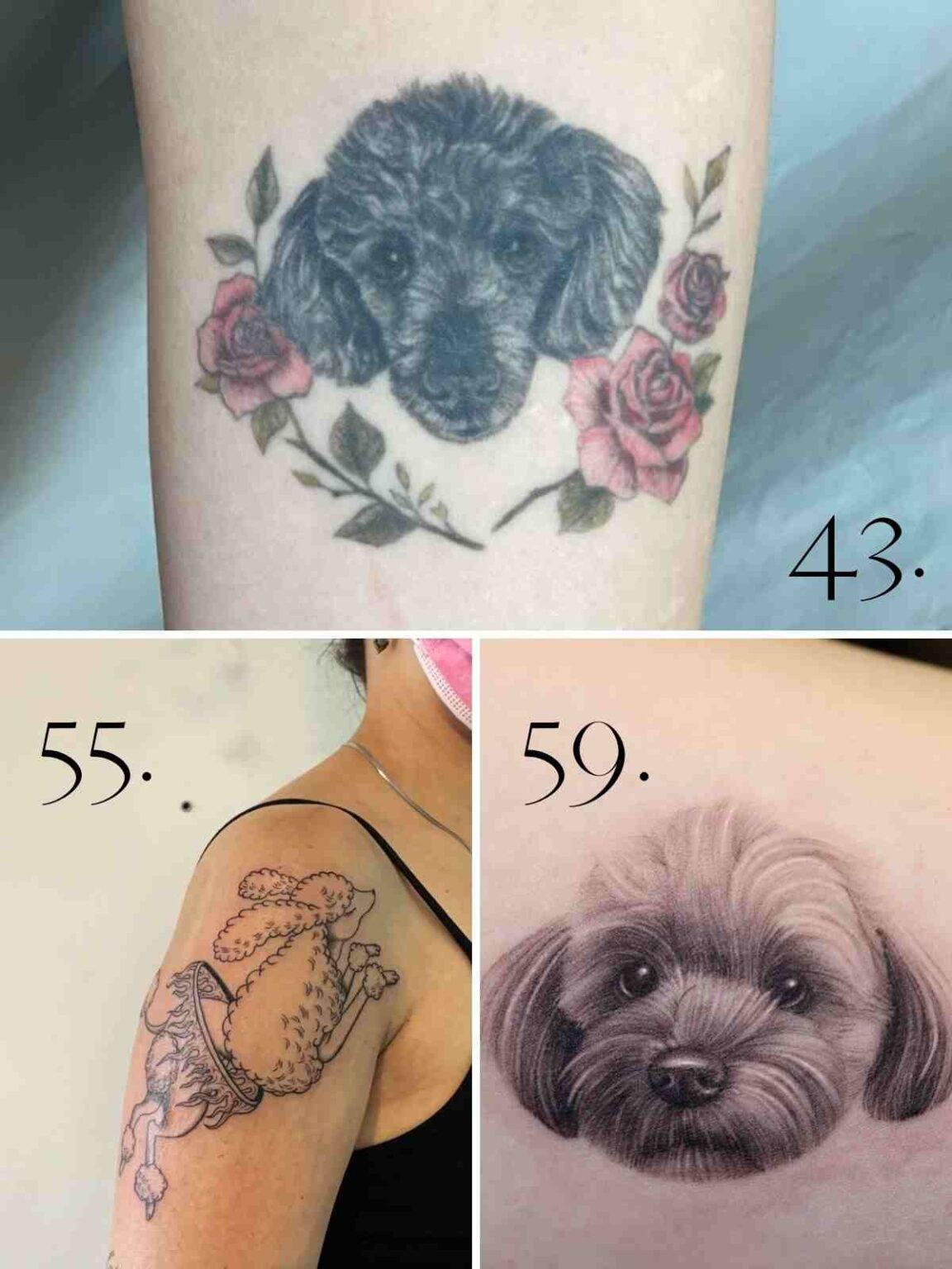 63+ Poodle Tattoo Ideas To Cuddle With - Tattoo Glee