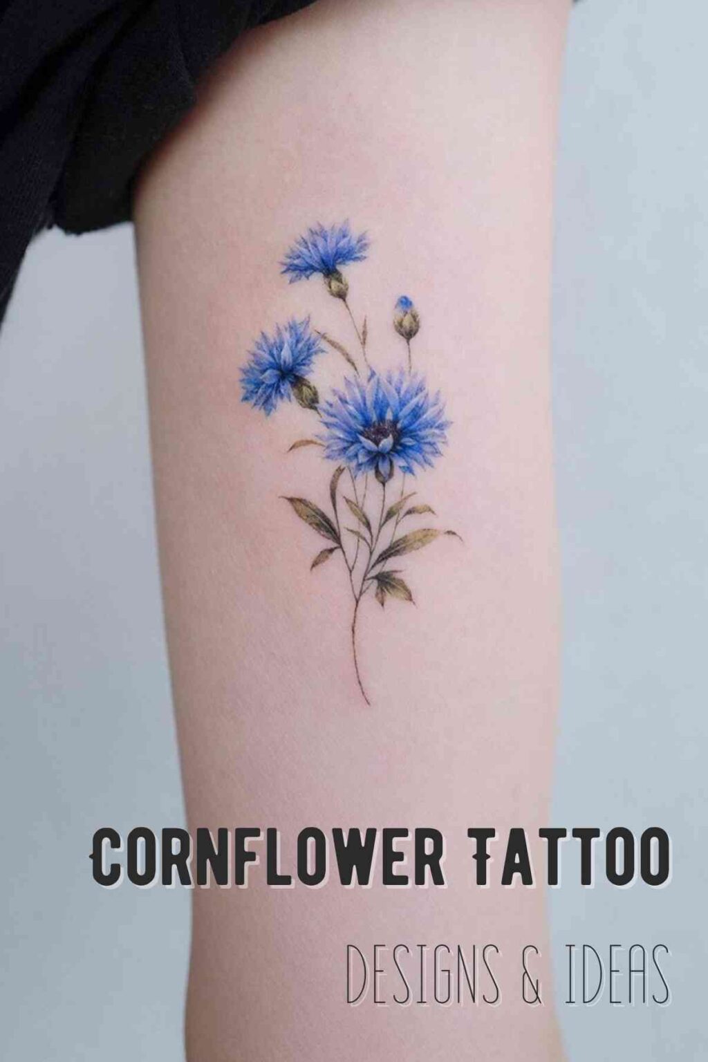 61 Blue Cornflower Tattoo Designs Ideas Tattoo Glee 61-blue-cornflower-tattoo-designs-ideas-tattoo-glee